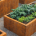 Planters