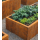 Planters